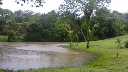 Yamilet Kelly vende terreno via El Pao