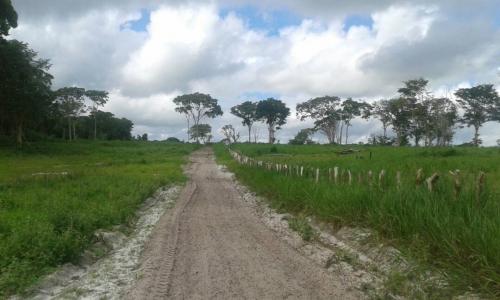 vendo lujosa finca en el palma