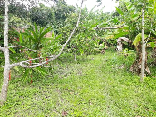 Terreno de Oportunidad en el Pueblo de San Diego