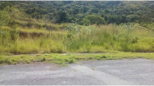 Excelente Terreno De 288m2, Ubicada En Ciudad Jardín Mañongo