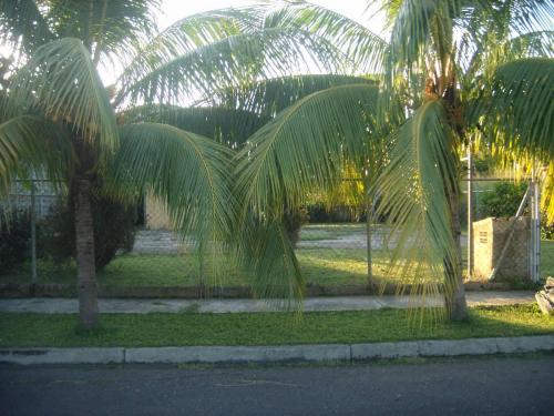 Terreno en la Urbanización La Colonial 
