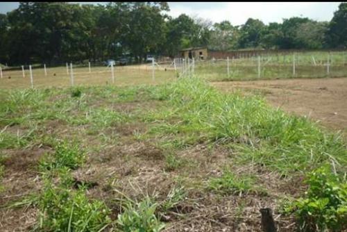 terreno Villas De reyes Bejuma 