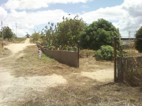 SE VENDE MiniFinca en Av.atlántico, Puerto Ordaz