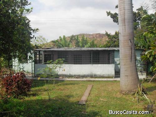 T82 PIEDRA PINTADA DE YAGUA GUACARA