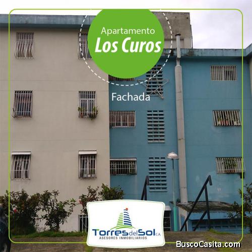 LOS CUROS PARTE ALTA 