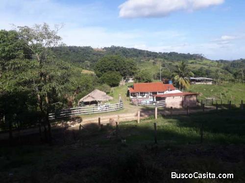 HERMOSA FINCA EN SECTOR LA BLANQUITA ESTADO TACHIRA