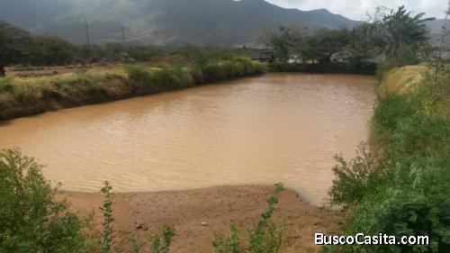Gran Oportunidad! 9 Has De Terreno En San Juan Nva Esparta