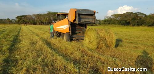 PAGINAS DE FINCAS, HASTA GRANJAS,1,150. HECTÁREAS, PROPIEDAD PRIVADA CON DESPRENDIMIENTO DE LA NACIÓ