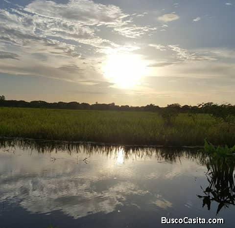 Finca de 300, hectáreas planas cercada