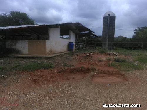 Finca de 38, hectáreas propiedad privada a 600 metros del asfalto