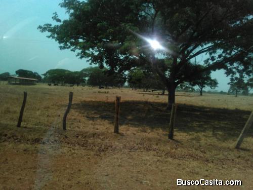 Finca de 1114, hectáreas propiedad privada