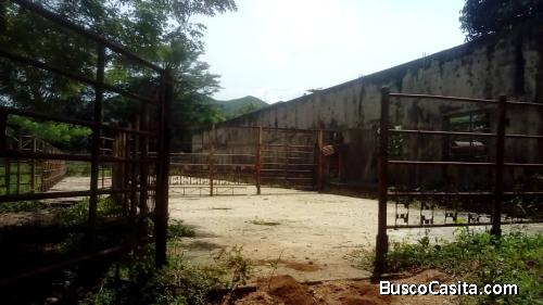 Finca de 980, hectáreas, hoja n7, clave OOP--2