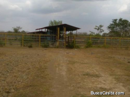 Finca de 1,705, hectáreas pagina n 4, clave PH6-1