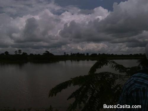 Finca de 2500, hectáreas hoja n 11 clave PPC-2