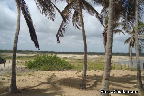 Finca de 3500 hectáreas propiedad privada planas pajina n 3 clave UXP-1