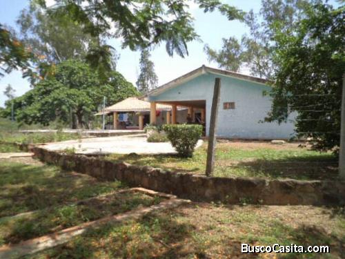 Finca de 700 hectáreas, hoja n10, clave ,XX3-4