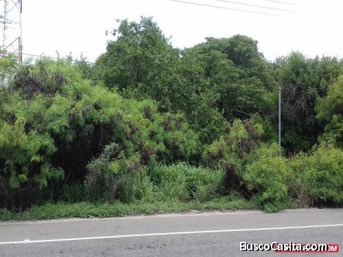 DORATA REALTY VENDE TERRENO TUCACAS ESTADO FALCON