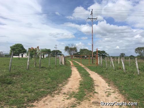 Imponente FINCA EN VENTA  a sólo 20 minutos de Upata, Bolívar, Venezuela