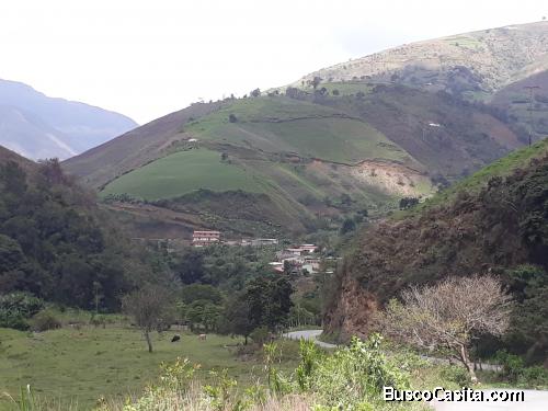 FINCA TOTALMENTE ACTA PARA TODO TIPO DE SIEMBRA DE HORTALIZA