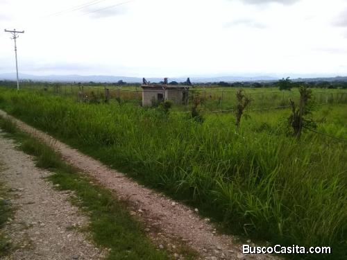 Parcela en zona industrial de Urachiche 