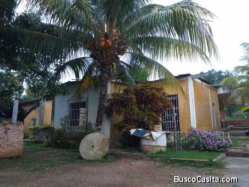 Vendo granja en Cambural estado Yaracuy