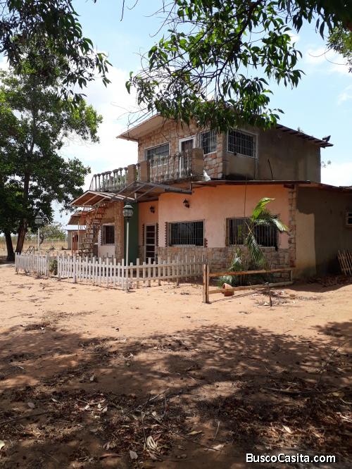  Se Vende Fundo En Kilometro 70