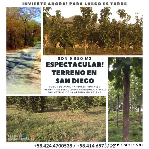 EXCELENTE INVERSION! UNA HECTAREA EN SAN DIEGO