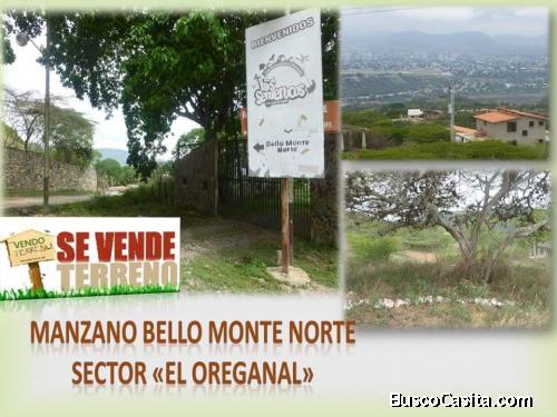 Chalet con 3 Hectáreas en el Manzano Bello Monte Norte 