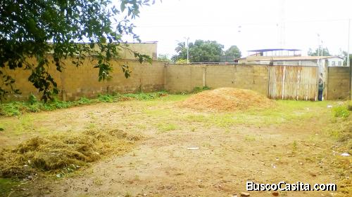 TERRENO ZONA CENTRAL DEL TIGRITO, 13x27mts, INCLUYE ESTRUCTURA KIT KARIÑA 90mts