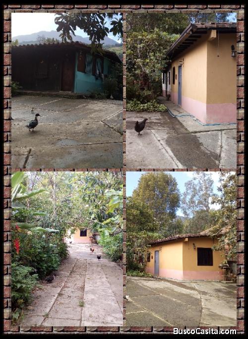 Gran opostunidad de inversión. Se vende en San Rafael de Tabay inmueble tipo campestre