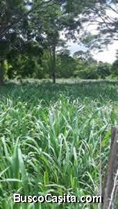 Finca ubicada a 15 minutos de la bomba de Yaracal.