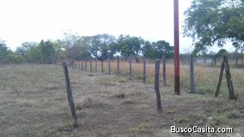 venta de fundo en troncal 19 excelente para cria o siembra