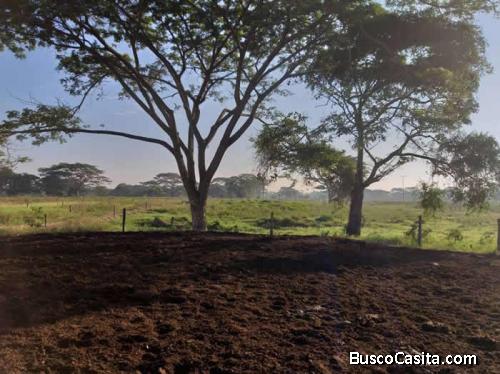 SE VENDE FINCA EN YARACAL