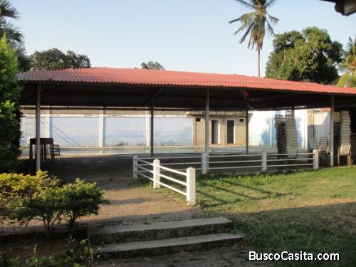 Terreno en Centro de Yaritagua