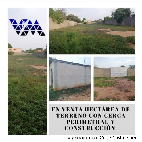 Hectárea con construcción de casa en Gris 