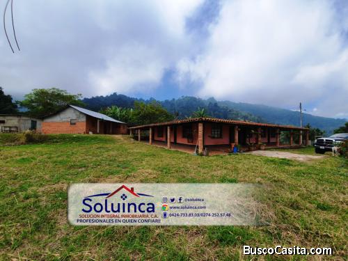 Amplia Finca Chiguara Estado Merida 