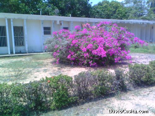  Casa con amplio Terreno.