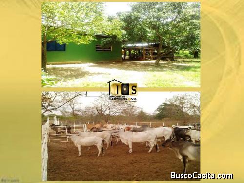 Espectacular FINCA a 20 minutos de San Diego de Cabrutica en Anzoátegui