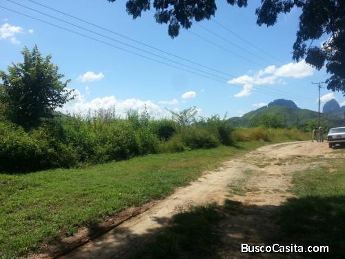 Terreno en venta. Villa Virginia Estado aragua.