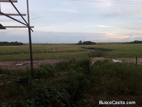 LA FINCA DE SUS SUEÑOS