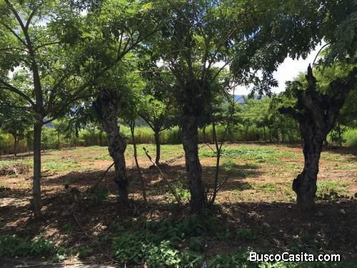Terrenos en oportunidad en Bejuma  