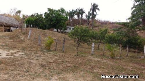 Terrenos en oportunidad enTocuyito