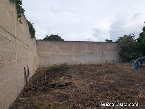 Carmen Delgado vende terreno en Guacara