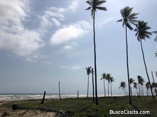 Terreno a orilla de playa. Vía Tucacas