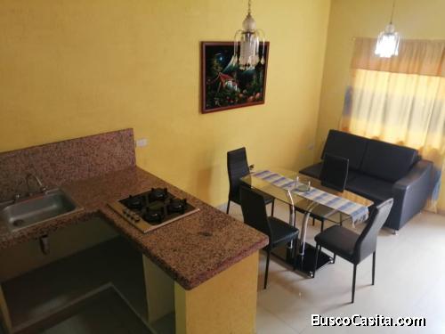 APARTAMENTO EN ALQUILER (SOLO EJECUTIVOS)