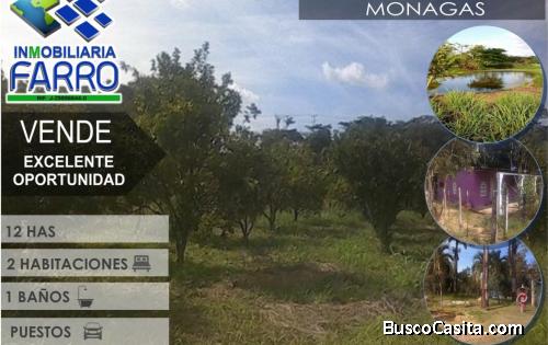 FINCA PRODUCTIVA EN VENTA MATURIN 
