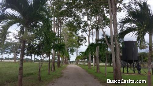 2000 hectareas Maturin