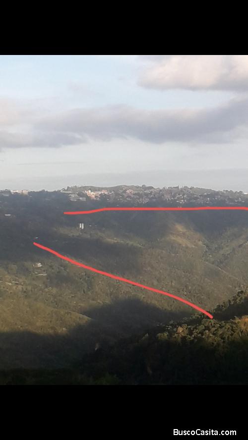 Terreno en venta de 34 hectarias en filas de mariche