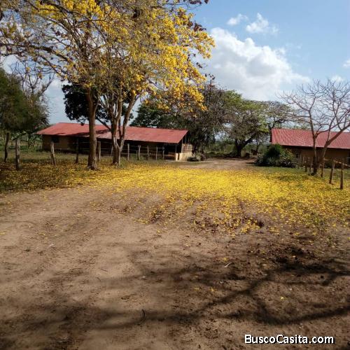 VENDO FINCA PRODUCTIVA