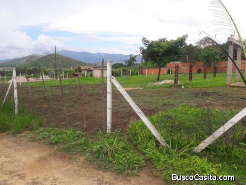 Vende Lote de terreno de 1.312mts2 ubicado el Bejuma - Edo Carabobo sector Altos de Reyes ????